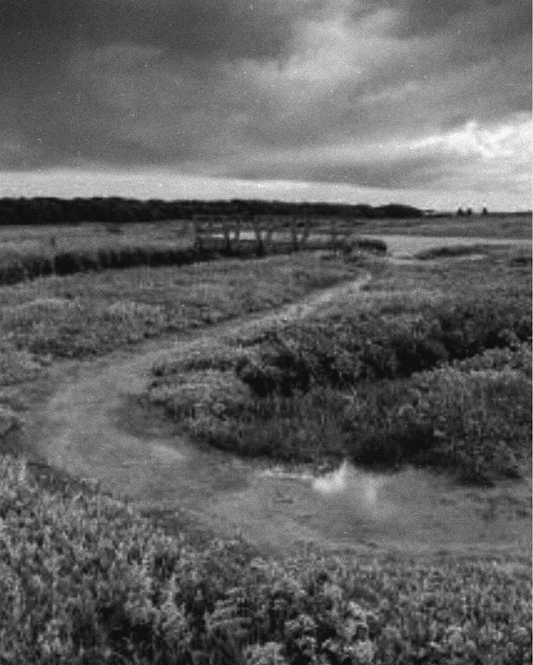 Norfolk Marshes